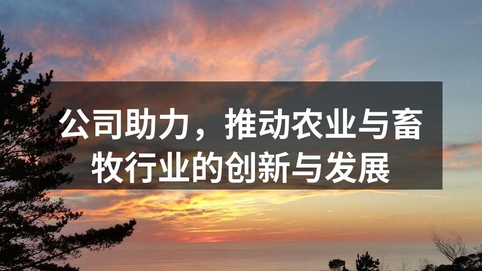 公司助力，推动农业与畜牧行业的创新与发展